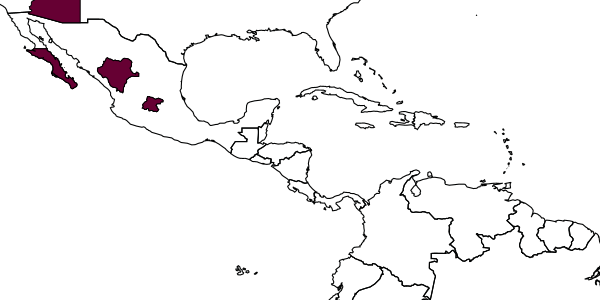 map of Anthidium cochimi     Snelling, 1992